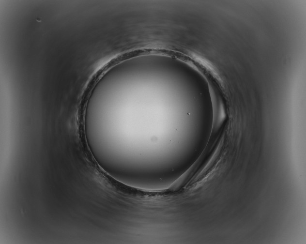 X0000086891264200704161238