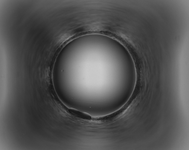 X0000086891265200704161238