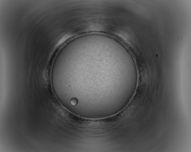 X0000086891266200704161238