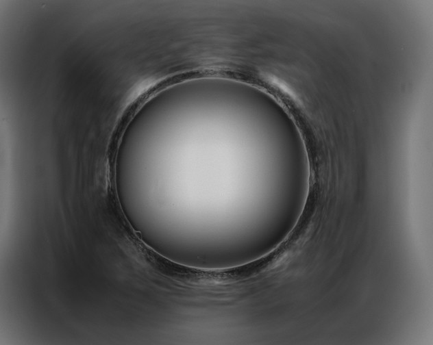 X0000086891267200704161238