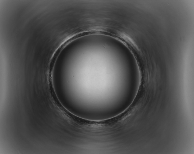 X0000086891268200704161238