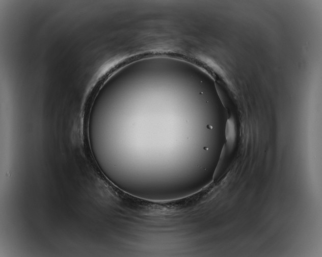 X0000086891270200704161238