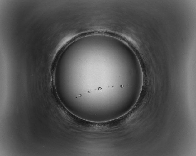 X0000086891271200704161238