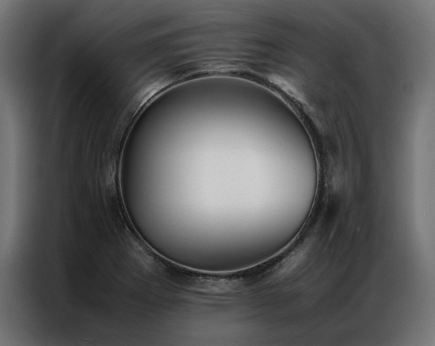 X0000086891273200704161238