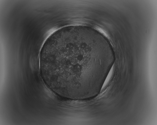 X0000086891275200704161238