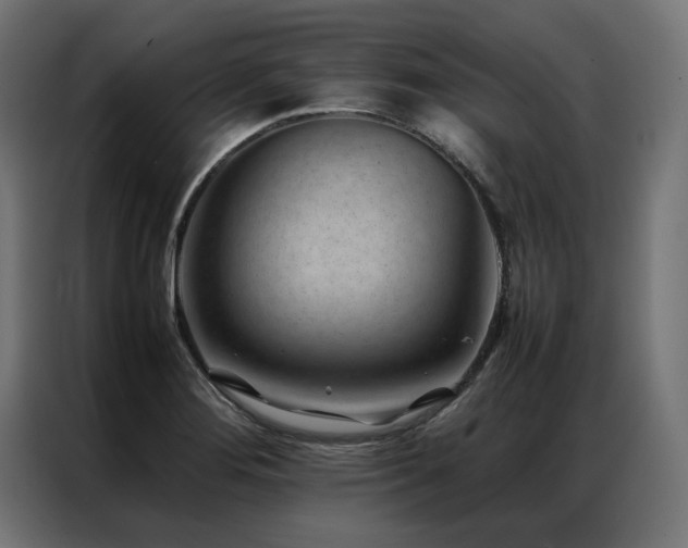 X0000086891276200704161238