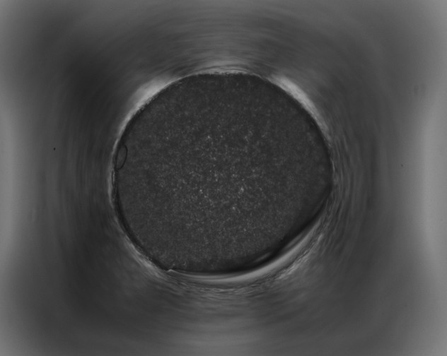 X0000086891277200704161238