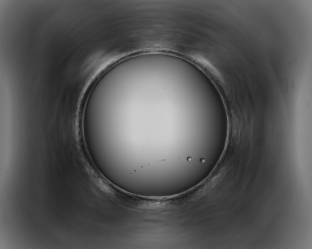 X0000086891278200704161238