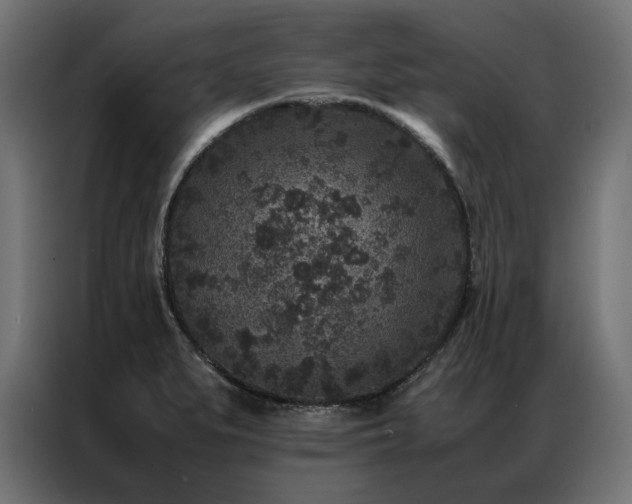 X0000086891279200704161238