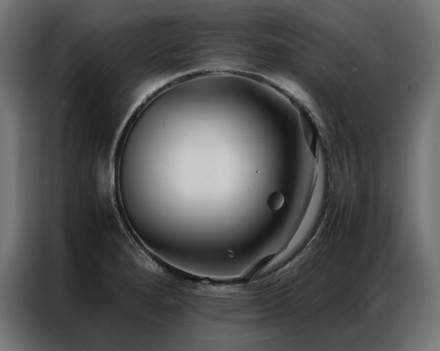 X0000086891280200704161238