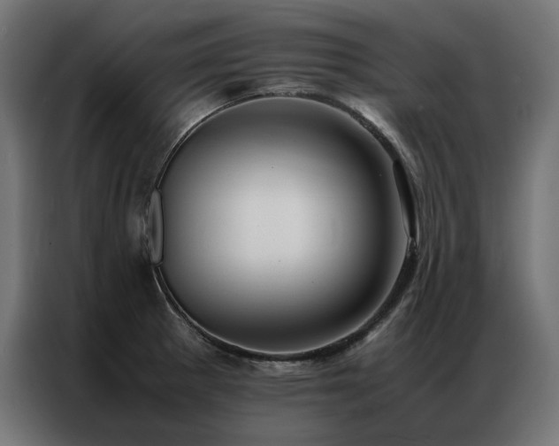 X0000086891281200704161238