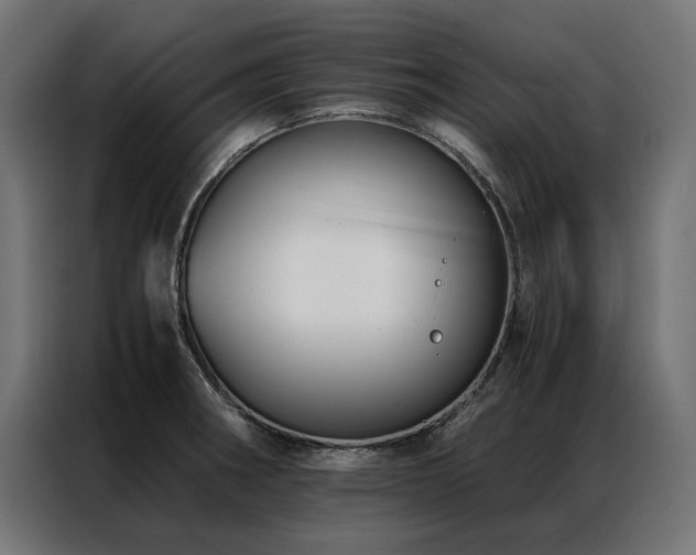 X0000086891282200704161238