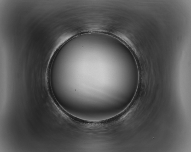 X0000086891285200704161238