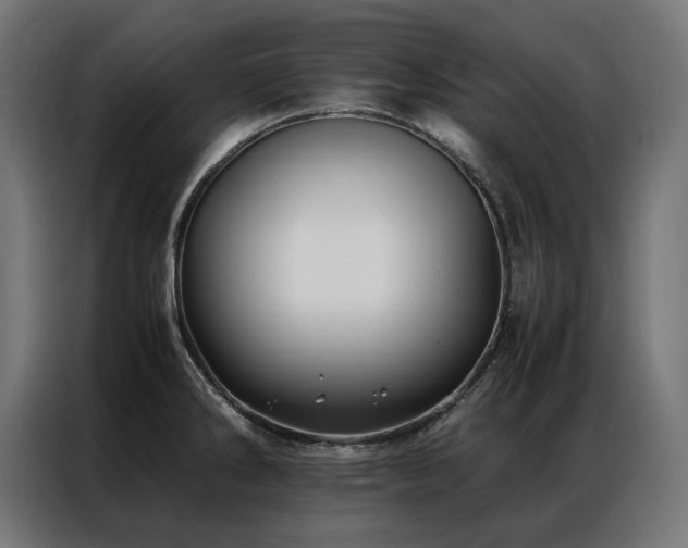 X0000086891286200704161238