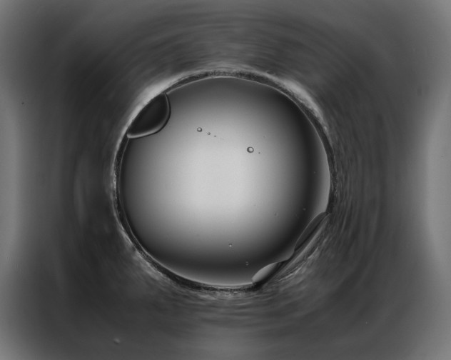 X0000086891287200704161238