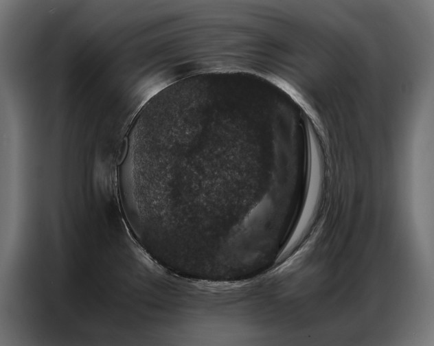 X0000086891289200704161238