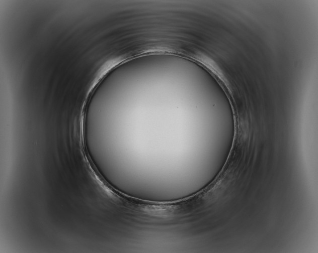 X0000086891290200704161238