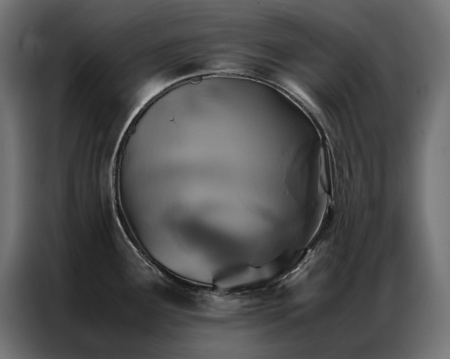 X0000086891291200704161238