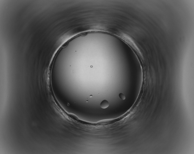 X0000086891292200704161238