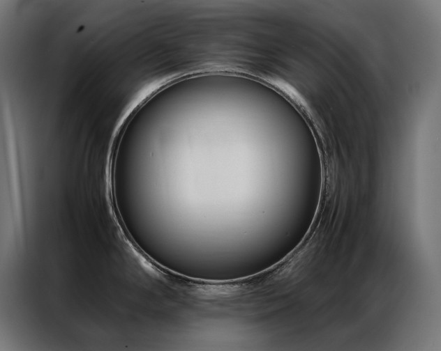 X0000086891294200704161238