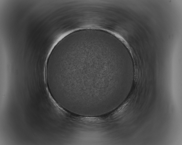 X0000086891295200704161238