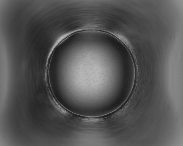 X0000086891296200704161238