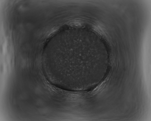 X0000086891297200704161237