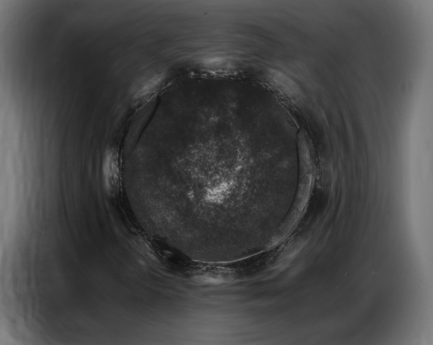 X0000086891298200704161237