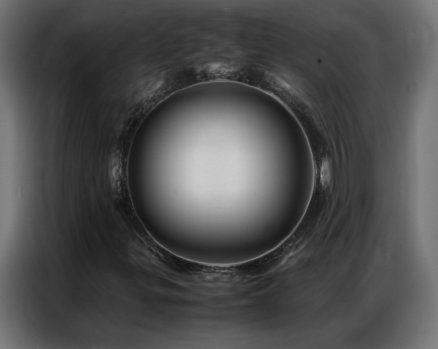 X0000086891299200704161237