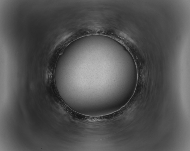 X0000086891302200704161237