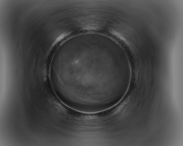 X0000086891306200704161237