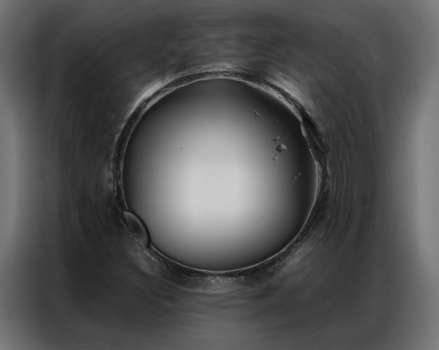 X0000086891308200704161237