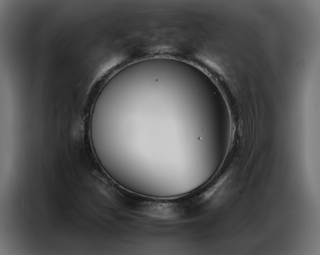 X0000086891309200704161237