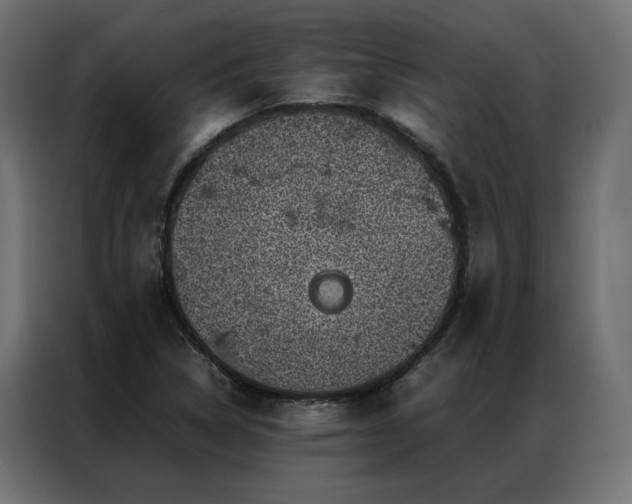 X0000086891314200704161237