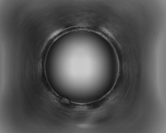 X0000086891315200704161237