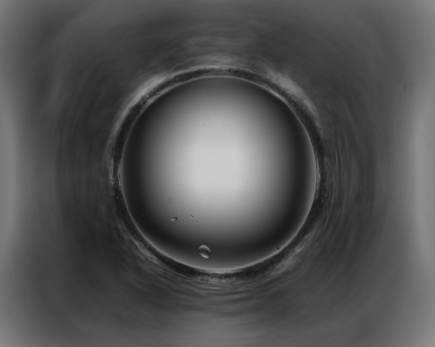 X0000086891318200704161237