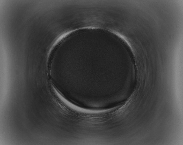 X0000086891319200704161237