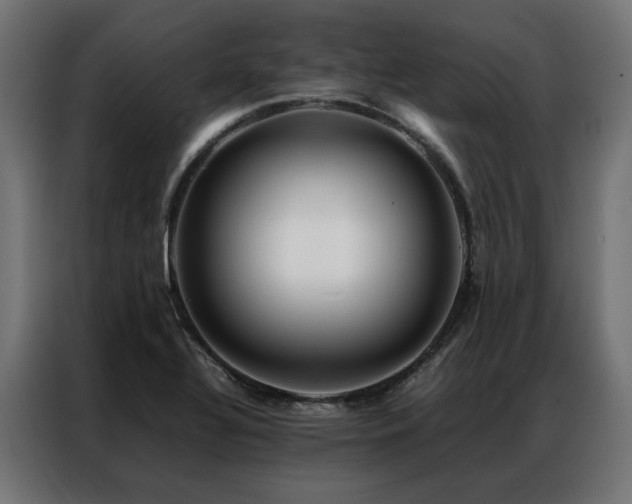 X0000086891320200704161237