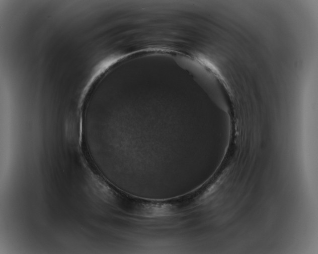 X0000086891323200704161237