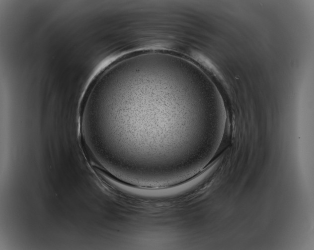 X0000086891324200704161237