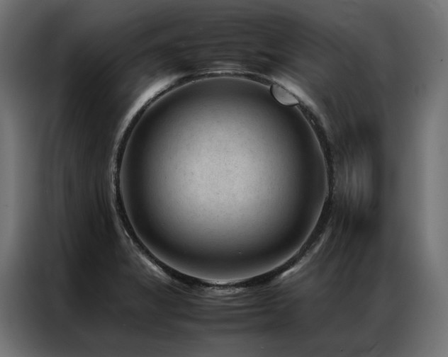 X0000086891325200704161237