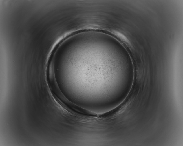 X0000086891326200704161238