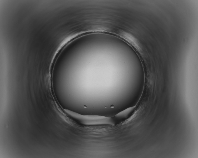 X0000086891332200704161238