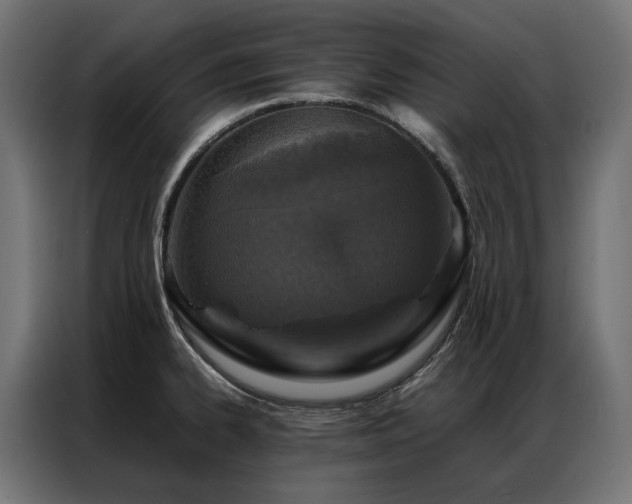 X0000086891334200704161238