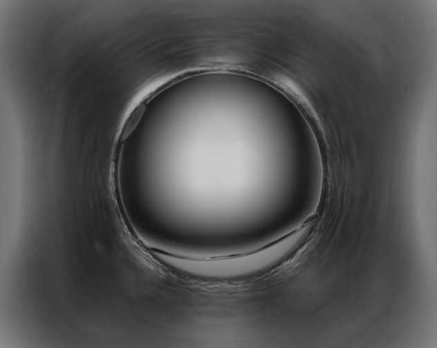 X0000086891336200704161238