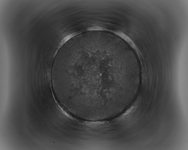 X0000086891337200704161238