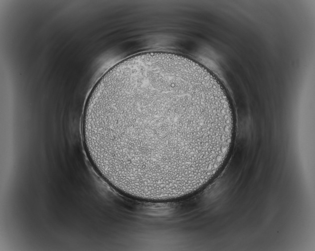 X0000086891338200704161238