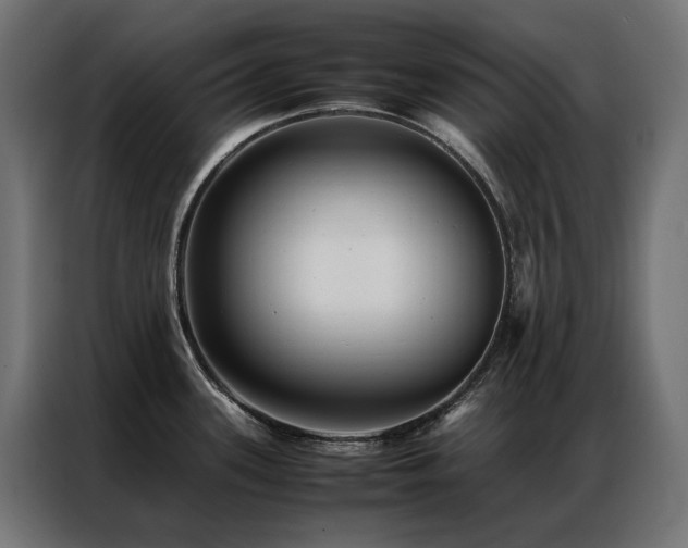 X0000086891339200704161238