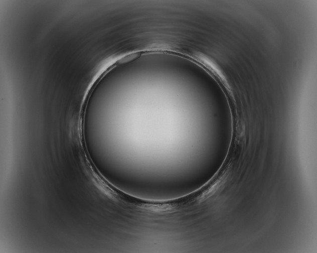 X0000086891340200704161238