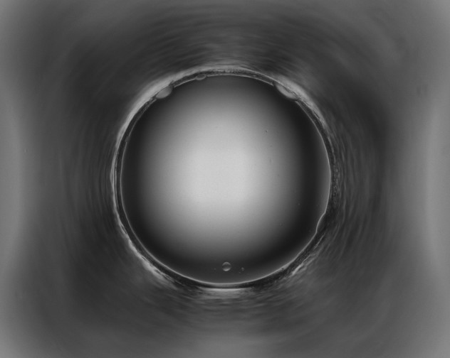 X0000086891343200704161238